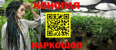 mix Новозыбков