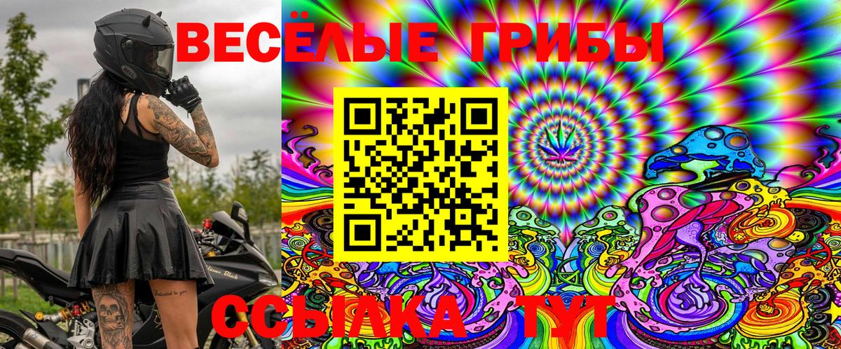 Псилоцибиновые грибы Psilocybe  дарнет шоп  Унеча  Вход с VPN 